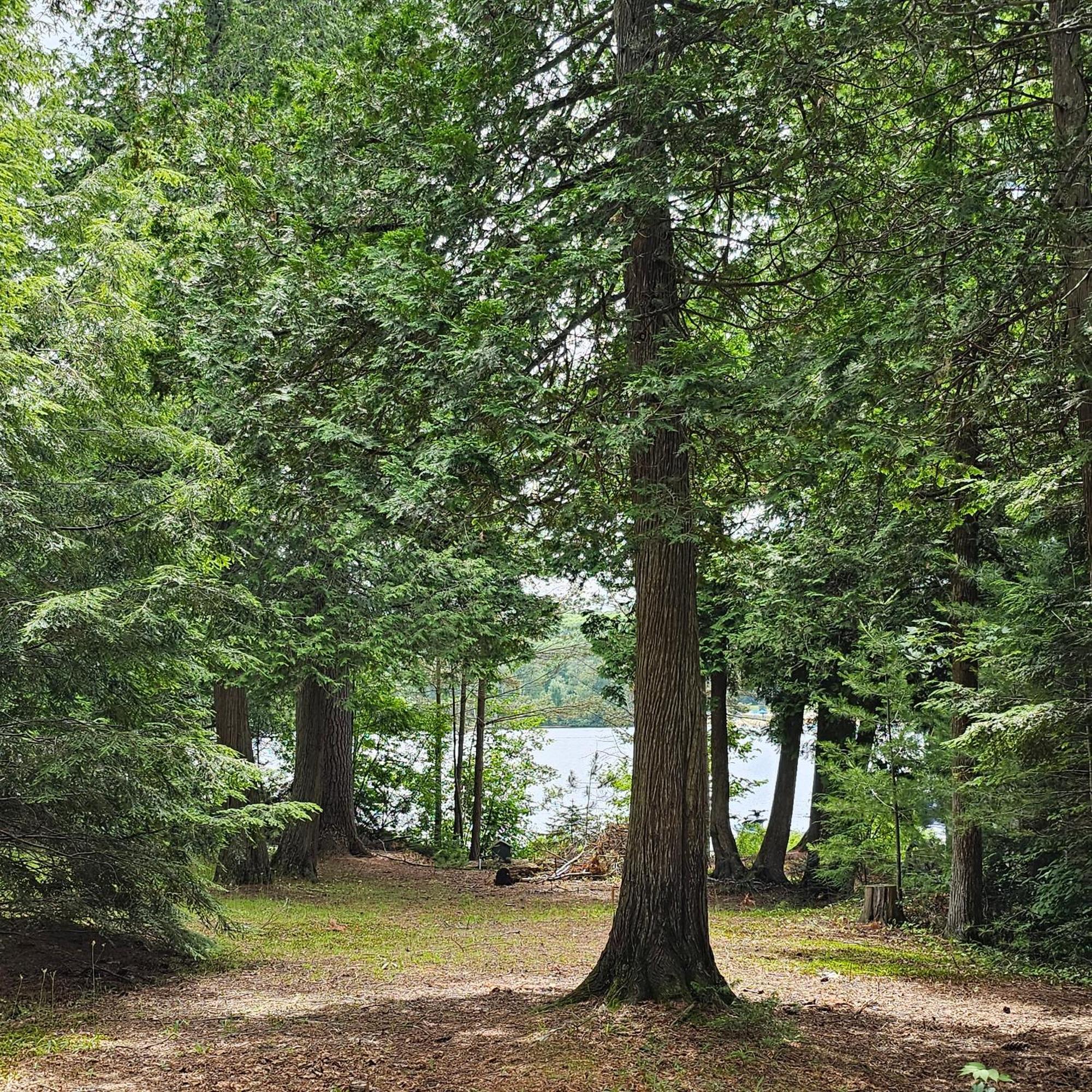 Parkway Cottage Resort And Trading Post Dwight Exteriér fotografie
