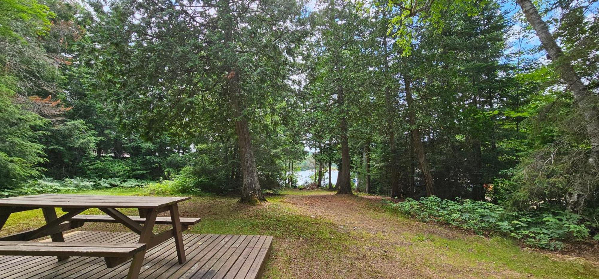 Parkway Cottage Resort And Trading Post Dwight Exteriér fotografie